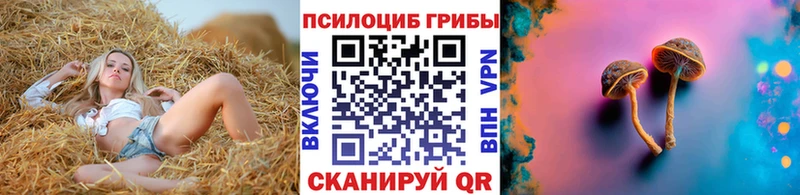 Псилоцибиновые грибы мицелий Харабали
